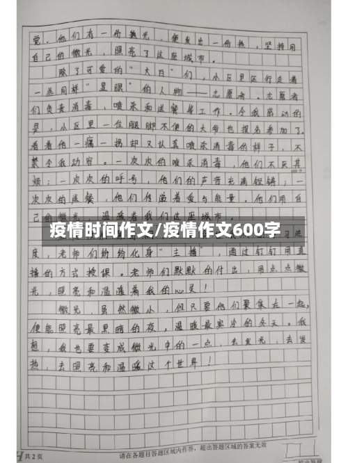 疫情时间作文/疫情作文600字-第3张图片