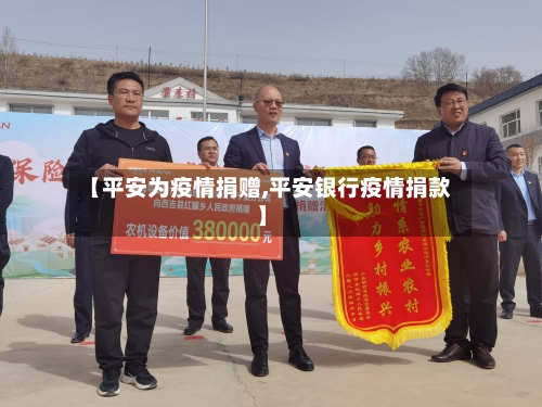 【平安为疫情捐赠,平安银行疫情捐款】