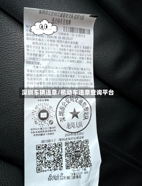深圳车辆违章/机动车违章查询平台-第3张图片
