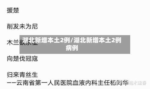 湖北新增本土2例/湖北新增本土2例病例-第3张图片