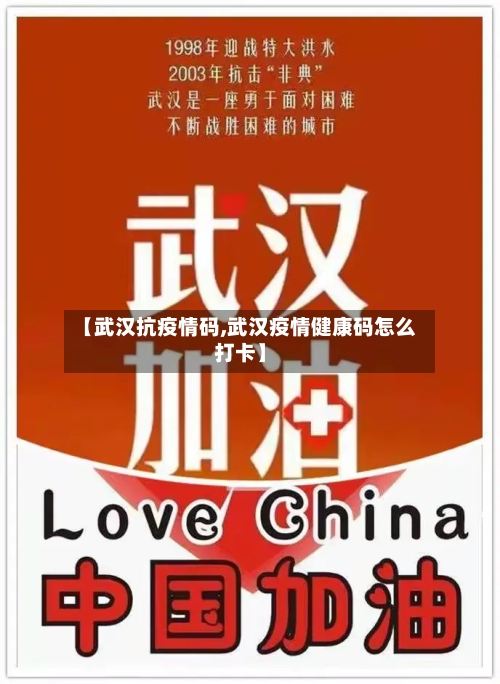 【武汉抗疫情码,武汉疫情健康码怎么打卡】-第3张图片