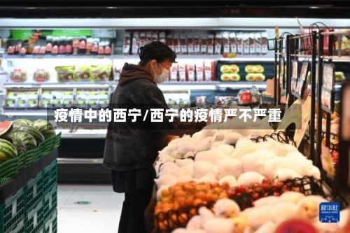 疫情中的西宁/西宁的疫情严不严重