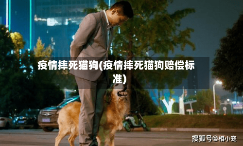 疫情摔死猫狗(疫情摔死猫狗赔偿标准)-第2张图片