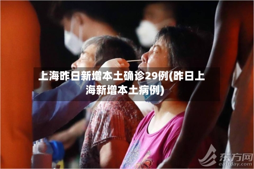 上海昨日新增本土确诊29例(昨日上海新增本土病例)-第3张图片