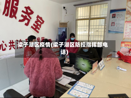 粱子湖区疫情(梁子湖区防控指挥部电话)