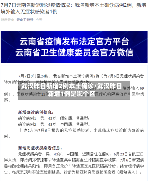 武汉昨日新增2例本土确诊/武汉昨日新增1例是哪个区-第2张图片