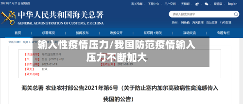 输入性疫情压力/我国防范疫情输入压力不断加大