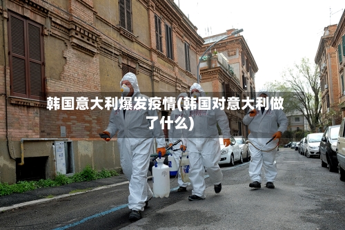 韩国意大利爆发疫情(韩国对意大利做了什么)-第3张图片