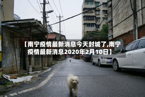 【南宁疫情最新消息今天封城了,南宁疫情最新消息2020年2月10日】-第2张图片