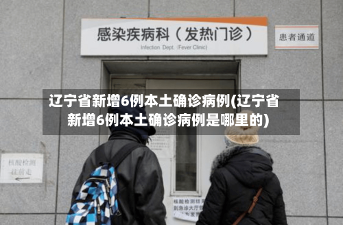 辽宁省新增6例本土确诊病例(辽宁省新增6例本土确诊病例是哪里的)-第3张图片