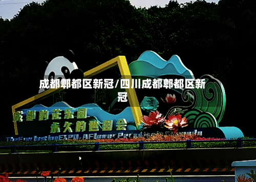 成都郫都区新冠/四川成都郫都区新冠-第3张图片