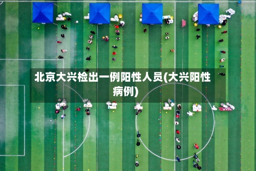 北京大兴检出一例阳性人员(大兴阳性病例)-第3张图片