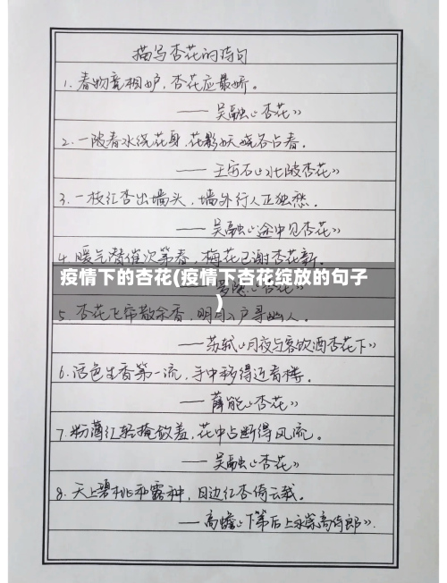 疫情下的杏花(疫情下杏花绽放的句子)-第2张图片