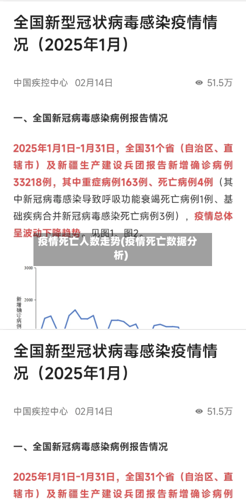 疫情死亡人数走势(疫情死亡数据分析)-第3张图片
