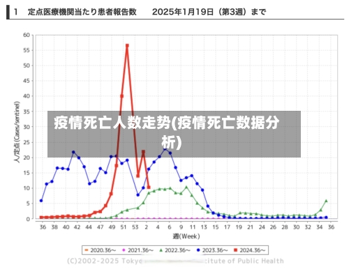 疫情死亡人数走势(疫情死亡数据分析)
