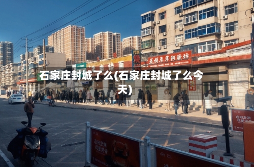 石家庄封城了么(石家庄封城了么今天)-第3张图片