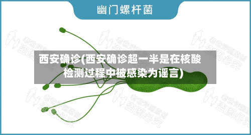 西安确诊(西安确诊超一半是在核酸检测过程中被感染为谣言)-第2张图片