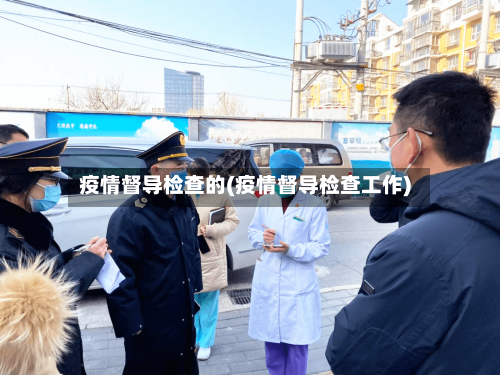 疫情督导检查的(疫情督导检查工作)-第2张图片