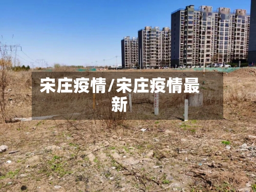 宋庄疫情/宋庄疫情最新