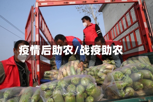 疫情后助农/战疫助农