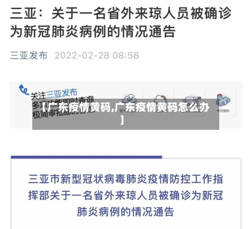 【广东疫情黄码,广东疫情黄码怎么办】-第2张图片