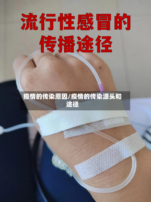 疫情的传染原因/疫情的传染源头和途径