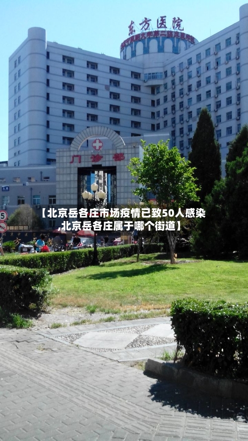 【北京岳各庄市场疫情已致50人感染,北京岳各庄属于哪个街道】