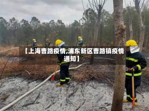【上海曹路疫情,浦东新区曹路镇疫情通知】-第2张图片