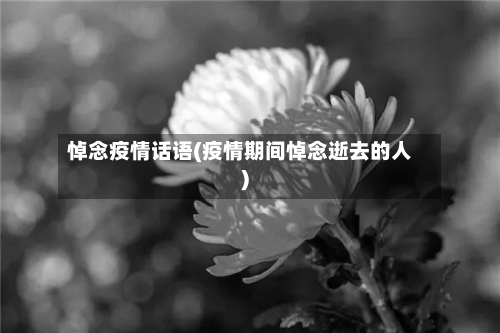 悼念疫情话语(疫情期间悼念逝去的人)-第2张图片