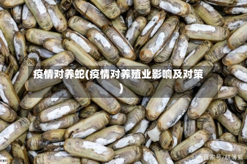 疫情对养蛇(疫情对养殖业影响及对策)