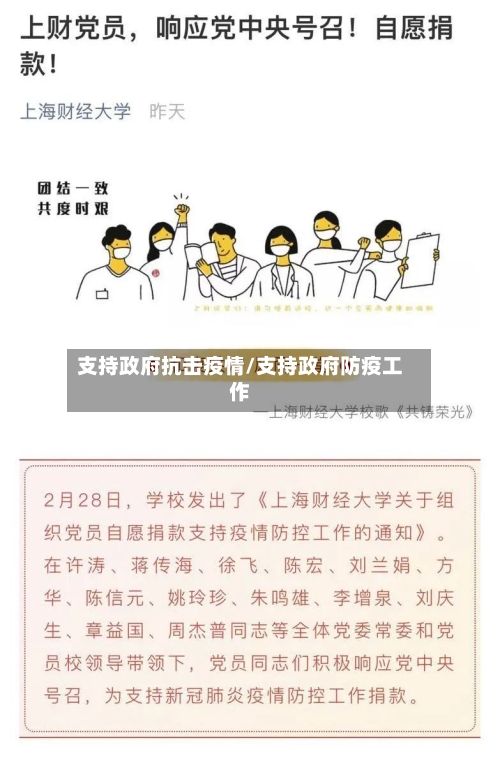 支持政府抗击疫情/支持政府防疫工作-第2张图片