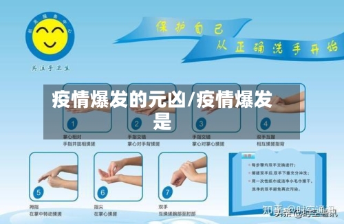 疫情爆发的元凶/疫情爆发是