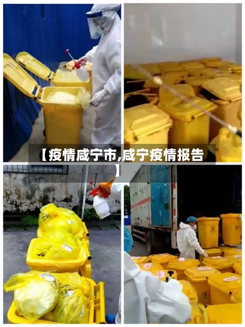 【疫情咸宁市,咸宁疫情报告】