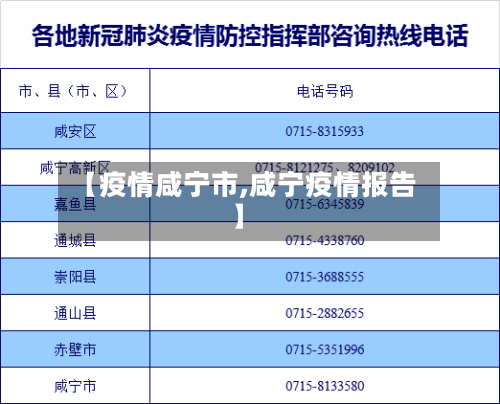 【疫情咸宁市,咸宁疫情报告】-第2张图片