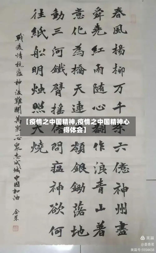 【疫情之中国精神,疫情之中国精神心得体会】
