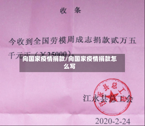 向国家疫情捐款/向国家疫情捐款怎么写
