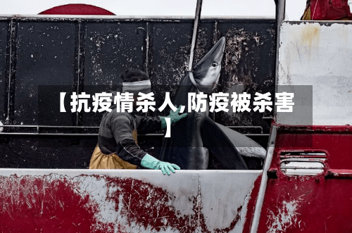 【抗疫情杀人,防疫被杀害】-第2张图片