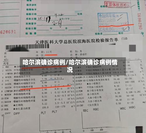 哈尔滨确诊病例/哈尔滨确诊病例情况-第3张图片