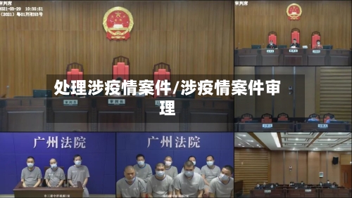 处理涉疫情案件/涉疫情案件审理