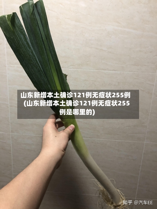 山东新增本土确诊121例无症状255例(山东新增本土确诊121例无症状255例是哪里的)