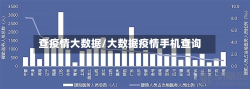 查疫情大数据/大数据疫情手机查询