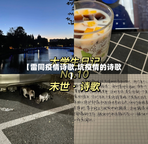 【雷同疫情诗歌,坑疫情的诗歌】-第2张图片
