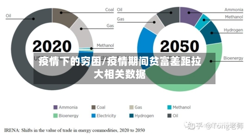 疫情下的穷困/疫情期间贫富差距拉大相关数据-第3张图片