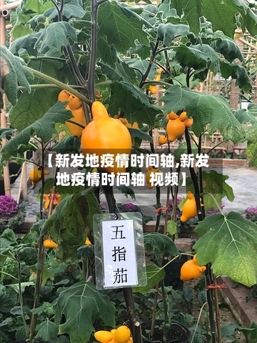 【新发地疫情时间轴,新发地疫情时间轴 视频】-第3张图片