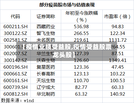 【疫情业绩受益股,疫情受益股票龙头股】-第2张图片