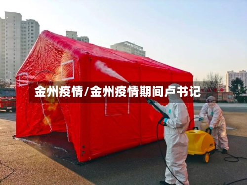 金州疫情/金州疫情期间卢书记-第2张图片