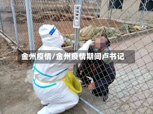 金州疫情/金州疫情期间卢书记