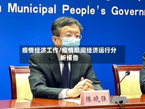 疫情经济工作/疫情期间经济运行分析报告