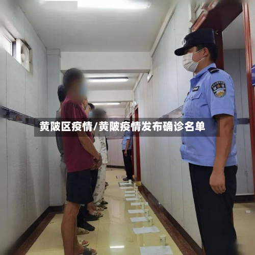 黄陂区疫情/黄陂疫情发布确诊名单-第3张图片