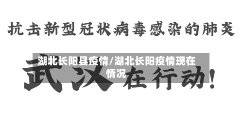 湖北长阳县疫情/湖北长阳疫情现在情况